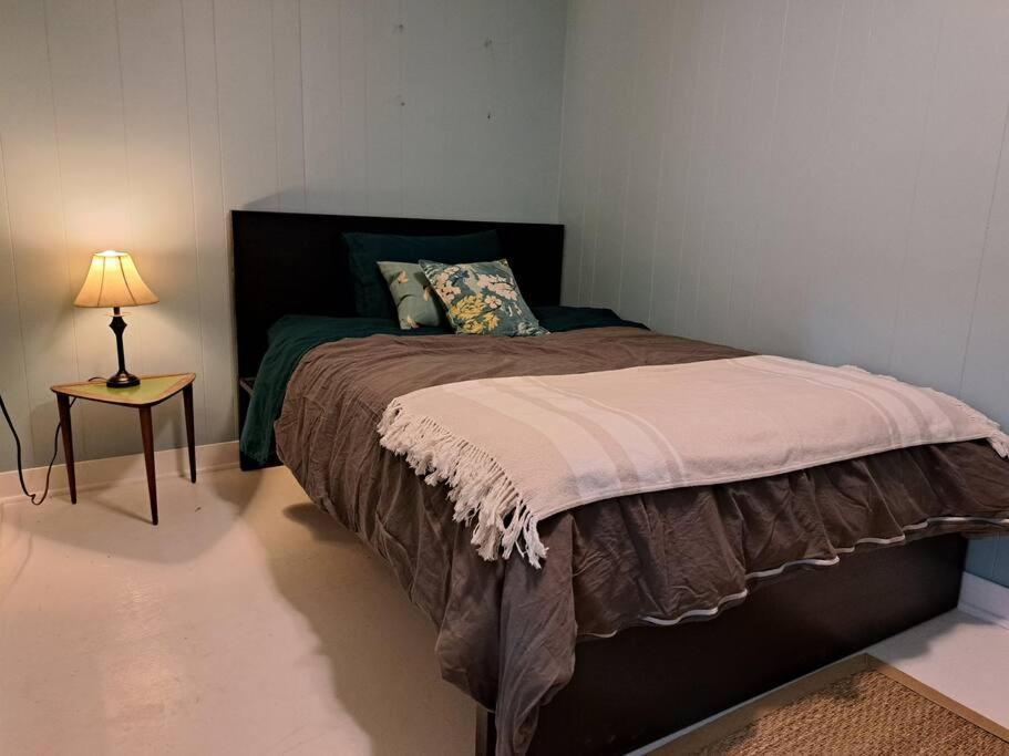 Blue Dog Accommodations Eastend المظهر الخارجي الصورة